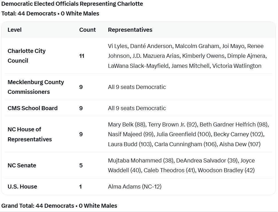 Brendan Maginnis's body-by-body breakdown of Democratic elected officials representing Charlotte, totaling 44 with zero white males.