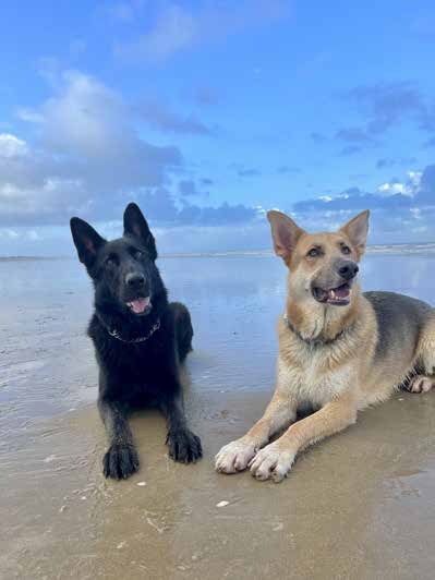 Bruno and Benji at the beach