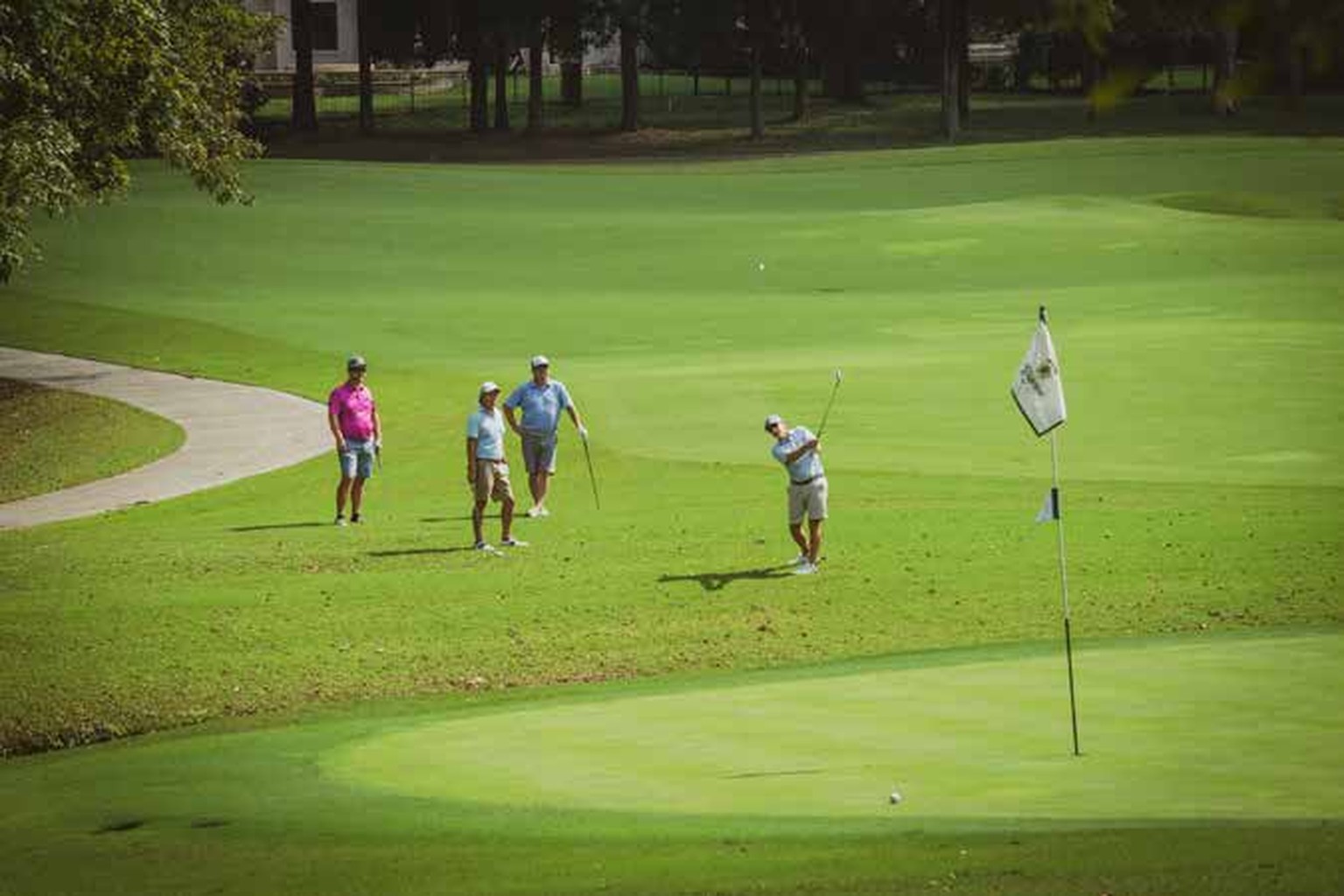Recently featured: Giving on the Green