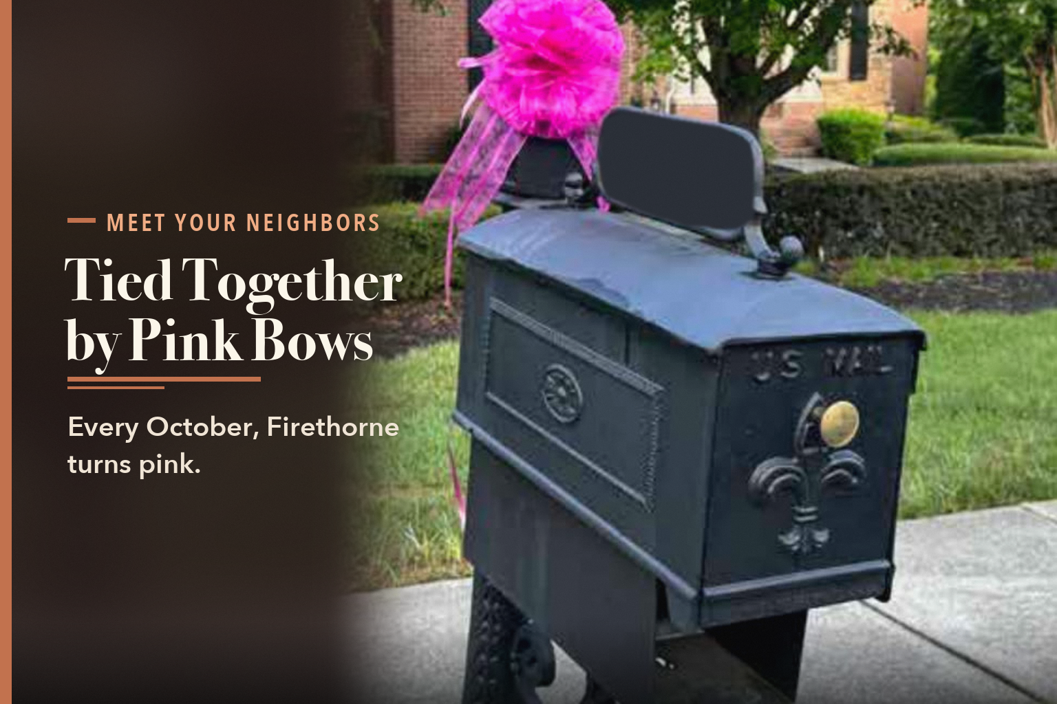 Recently featured: Tied Together by Pink Bows