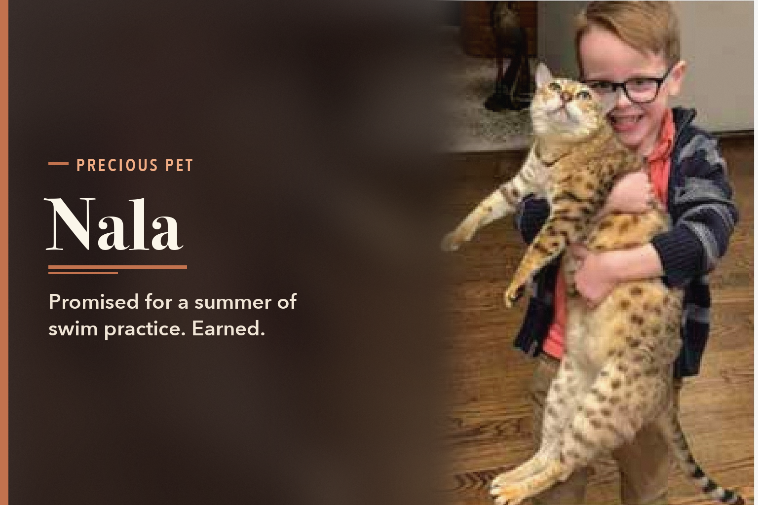 Recently featured: Nala, the Bengal Earned at Swim Practice