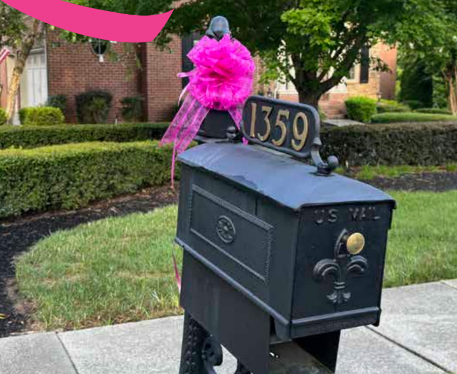 A pink bow on a Firethorne mailbox